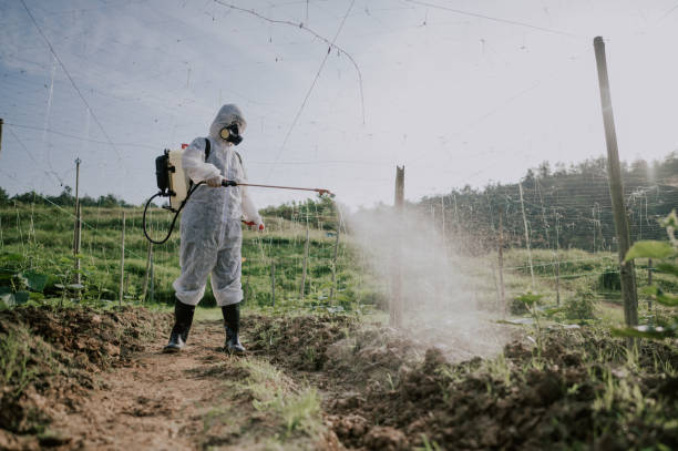 Best Pest Removal Services  in Ashland, VA