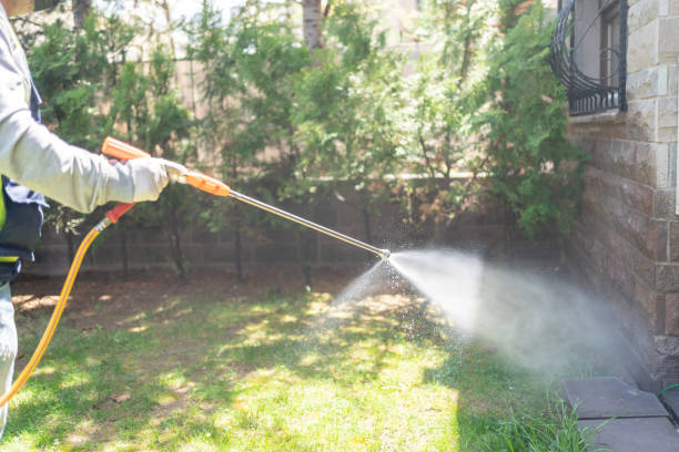 Best Affordable Pest Control Services  in Ashland, VA