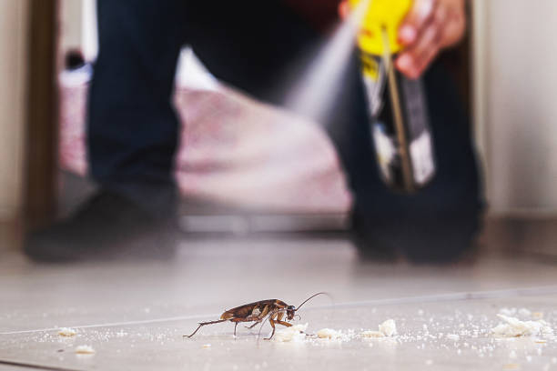 Best Bed Bug Extermination  in Ashland, VA