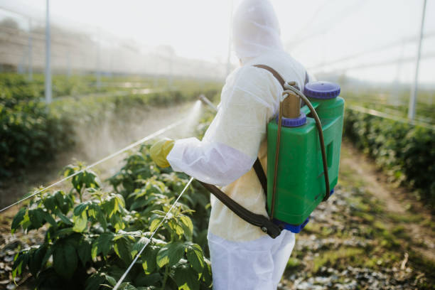 Best Rat Extermination Near Me  in Ashland, VA